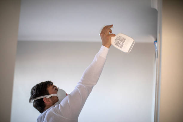 Best Black Mold Removal  in Conehatta, MS