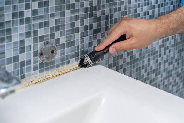 Best Certified Mold Removal  in Conehatta, MS